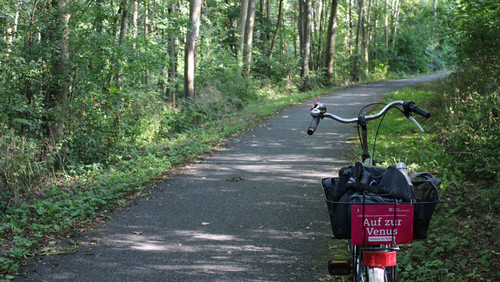 Fahrrad steht auf Straße im Wald