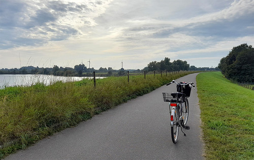 Blick auf ein Fahrrad im Grünen